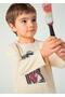 Boy's Sweatshirt - Printed