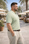 Men's Striped Plus Size Green Knitwear Polo Collar T-Shirt - 5
