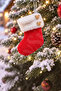 Christmas Pine Tree Ornament Socks Red - 3