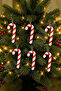 Christmas Pine Tree Ornament Candy Bar Set of 6, 9 cm - 3