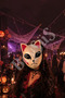 Halloween White Cat Mask - 3