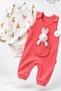 Baby Girl Set with Rabbit Figure and Overalls, 2-Piece Seasonal Baby Set - 3
