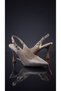 Tao Champagne Glittery Pointed Toe Slingback Thin Heel Women's Evening Dress Shoes - 6