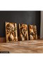 Boho Style Plant Lion 3 Piece Wooden Framed Painting Act - 2