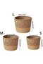 Hand Woven Straw Plant Basket, Leak-Proof Indoor Outdoor Planter, Lightweight Natural Grass Decor, S/M/L - 2