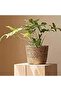 Hand Woven Straw Plant Basket, Leak-Proof Indoor Outdoor Planter, Lightweight Natural Grass Decor, S/M/L - 5