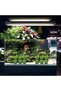 10Pcs Aquatic Plants Fixed Ring Set, Aquarium Landscape Decor - 2