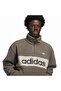 Ib6906-E Pf Pullover Men's Sweatshirt Gray - 4