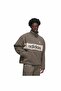 Ib6906-E Pf Pullover Men's Sweatshirt Gray