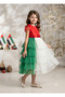 UAE Flag Tulle Gown - 3