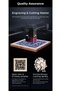 Gravor laser Falcon 5W - 4