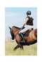 Dy'On Unisex Classic Comfort Quality Leather Equestrian Chaps - 2
