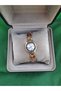 Exotic Colorful Cord New Model Wristwatch - 6