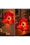 Karmen Wall & Desk Decorative Ambient Lamp - Karmen Decorative Ambient Wall and Table Lamp/Appliance - 4