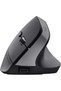 Mouse ergonomic wireless Bluetooth Bayo+ 2400 DPI - 3
