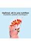 Nutri Soft Pet Macaw & Cockatoo Bird Food, 3 Pound - 5