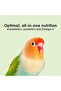 Nutri Soft Pet Parrot & Conure Bird Food, 3 Pound - 5