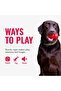 Jaxx Infinity Tug Dog Toy LARGE - 4