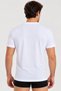 Men's Premium 100% Cotton Single Jersey Crew Neck Short Sleeve T-Shirt/Undershirt/Singlet - 5