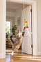 Cat Toy with Suction Cup and String for Door Hanging, Rattle and Furry Pompom for Jumping and Hunting - 4