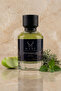 Phaselis Erkek Parfümü - Extrait De Parfüm 50 ML - 2