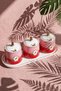 Birdy Porcelain Spice Rack Set with 3 Trays