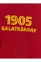 Lcw Kids Red Hooded Galatasaray Printed Boys' Sweatshirt - 5