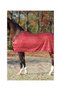 Stripe Horse Fly Cover and Insect Protection Cover - 2