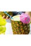 Cocktail Umbrella Picks 30 Pcs, Tropical Paper Drink Umbrellas, Mini Parasol Picks for Cocktails, Mocktails, Juice, Desserts, Parties & Hawaiian Theme Events, Assorted Colour - 3