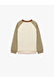 Tiger Printed Crew Neck Long Sleeve Oversized Sweatshirt - 2