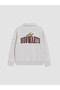 Lcw Kids Gray Harry Potter Printed Boys' Sweatshirt - W6Bc38Z4-Dd0 |   Lcw - 2
