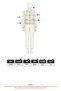 Gold Buttoned Knitwear Cardigan T2603 - Bej - 5