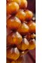 12-Year-Old Drop Resin Apricot Resin Shaved Amber Prayer Beads – Naturally Patinated – Mahir – 14.50 X 15 mm - 5