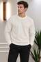 Men's Crew Neck Waffle Fabric Regular Fit Sweat 5851