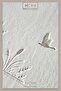 Hcw 2-Piece Bathroom Mat Set Ni̇ll - 2