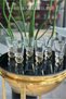 6-Piece Coffee Cup Set