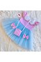 Blue Pink Gingham Tulle Girl's Dress with Bow and Bag Set Birthday