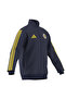 Men's Jacket Fen Dna Tt Hz1023 - 6