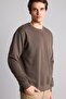 Cotton Regular Fit Basic Sweatshirt (26 Au)