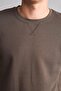 Cotton Regular Fit Basic Sweatshirt (26 Au) - 4
