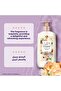 Perfumed Liquid Hand Wash with Velvet Jasmine Scent 500 ml - 6