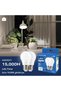 لمبة LED بقوة 5 واط A50 E27 - عبوة من 6 قطع، 6500 كلفن ضوء نهاري - موفرة للطاقة تعادل 35 واط، لمبات غير قابلة للتعتيم - 4