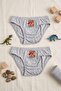 Boys' Gray Dinosaur Printed Cotton Briefs 2-Pack