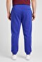 Men Sportswear Fit Outdoor Sweatpants, Blue - 5