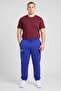Men Sportswear Fit Outdoor Sweatpants, Blue - 3