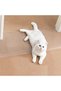 Carpet Protector for Pets NO