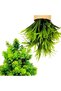 نباتات اصطناعية في أصص، نباتات أوكالبتوس بلاستيكية صغيرة للديكور الداخلي - 3