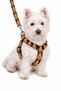 Dog Collar (Chest Collar) Travel Strap Set - 2