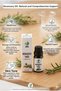 Rosemary Oil 10 ml (Rosemary Oil) - Hair Growth & Hair Root Strengthening, Pore Tightening Oil, Economical Pack of 2 - 4