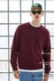 Men's Trend Crew Neck Burgundy Knitwear Sweater
